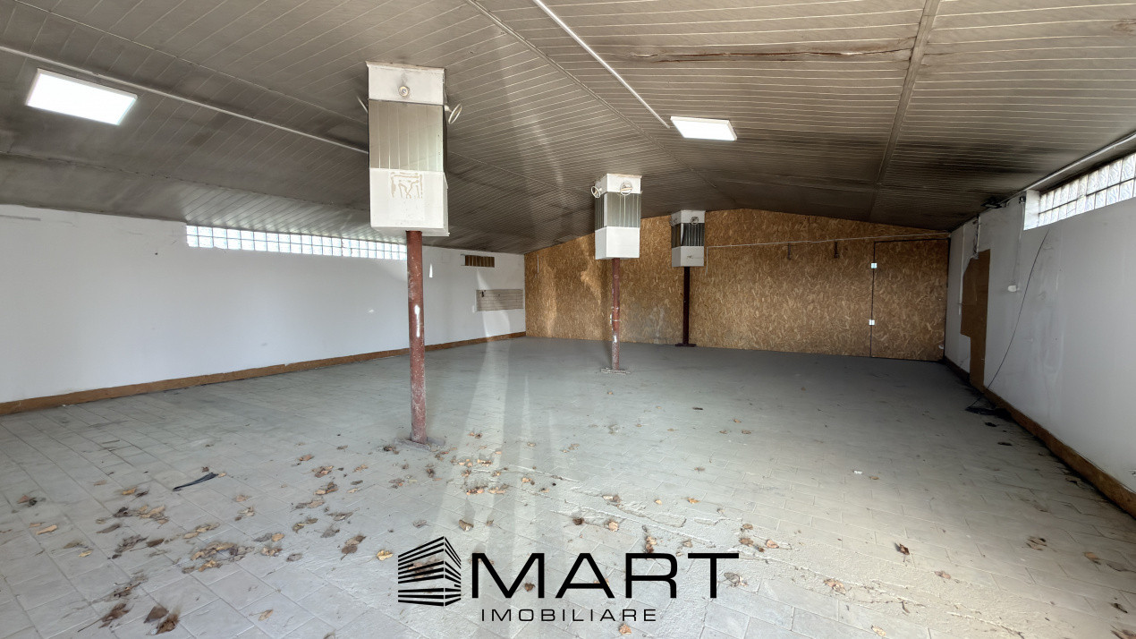 Spatiu industrial/hala 130mp + curte zona Viile Sibiului