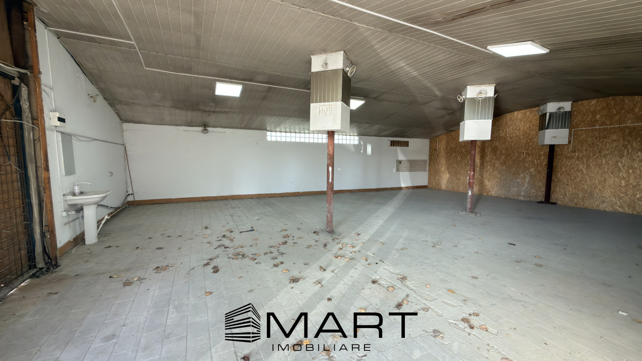 Spatiu industrial/hala 130mp + curte zona Viile Sibiului