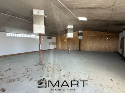 Spatiu industrial/hala 130mp + curte zona Viile Sibiului