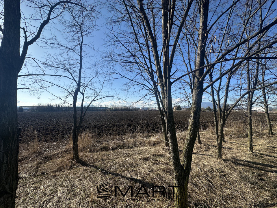 Teren Intravilan 60.000mp