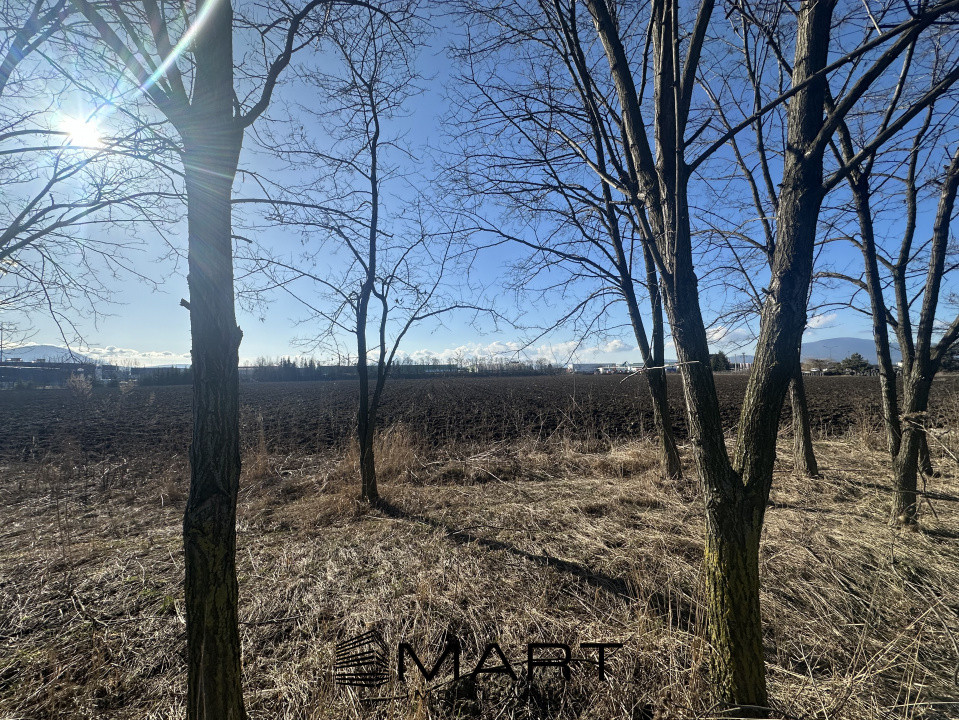 Teren Intravilan 60.000mp