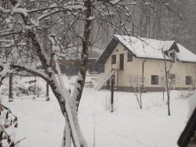 Cabana 4 camere zona Valea Avrigului