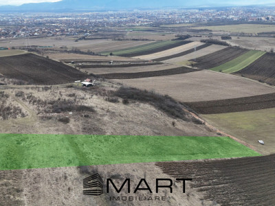 Teren extravilan 4500mp cu autorizatie adapost agrigol in Gusterita