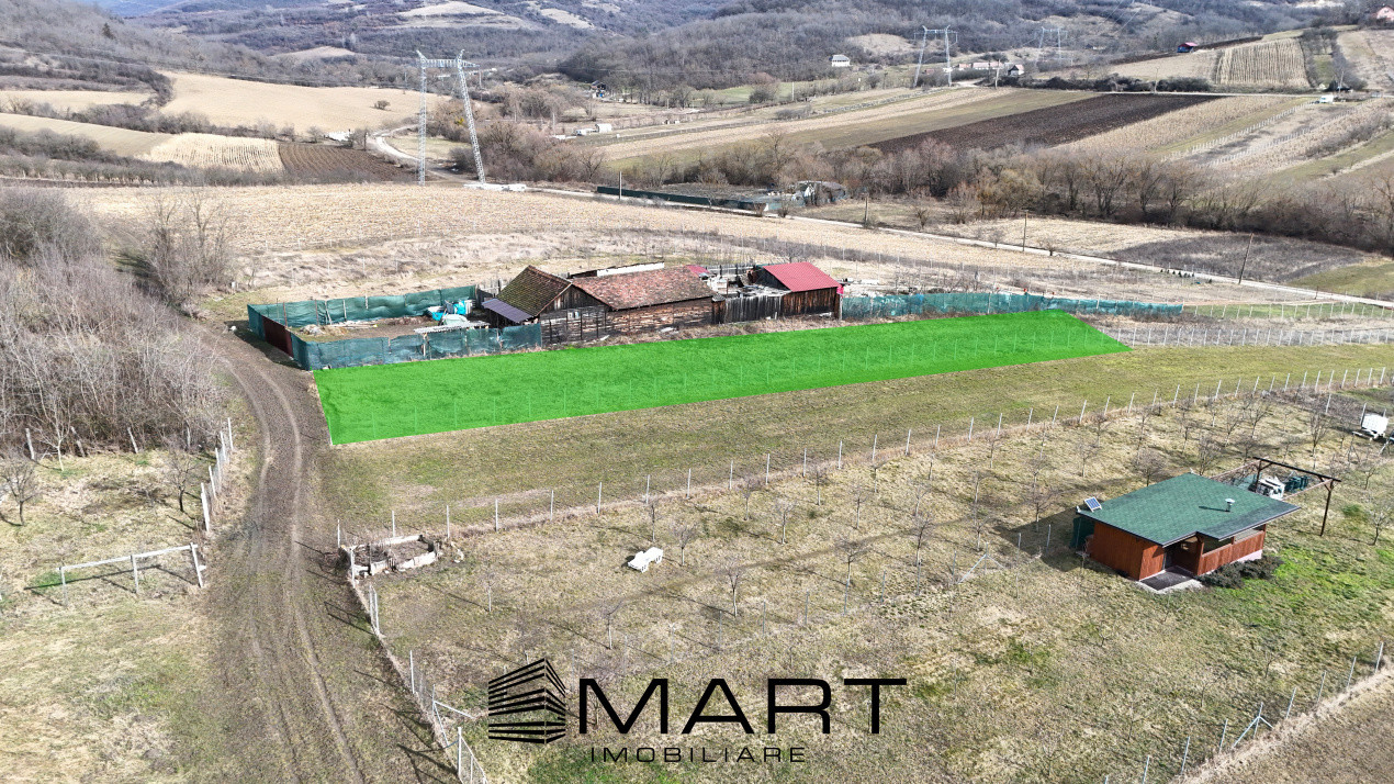 Teren intravilan 10.000mp strada Zadei Gusterita