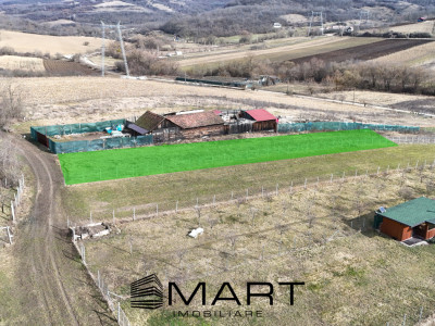 Teren intravilan 10.000mp strada Zadei Gusterita