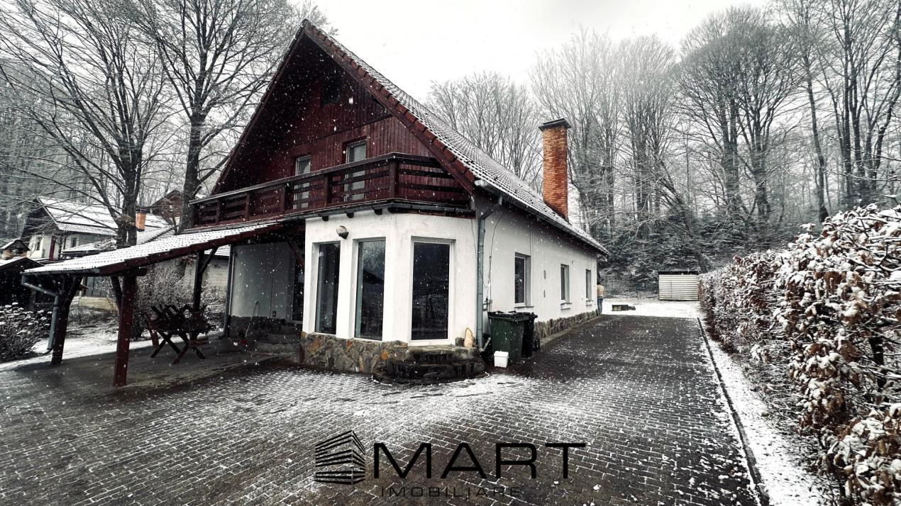 Casa de vacanta cu teren 2000mp Valea Avrigului