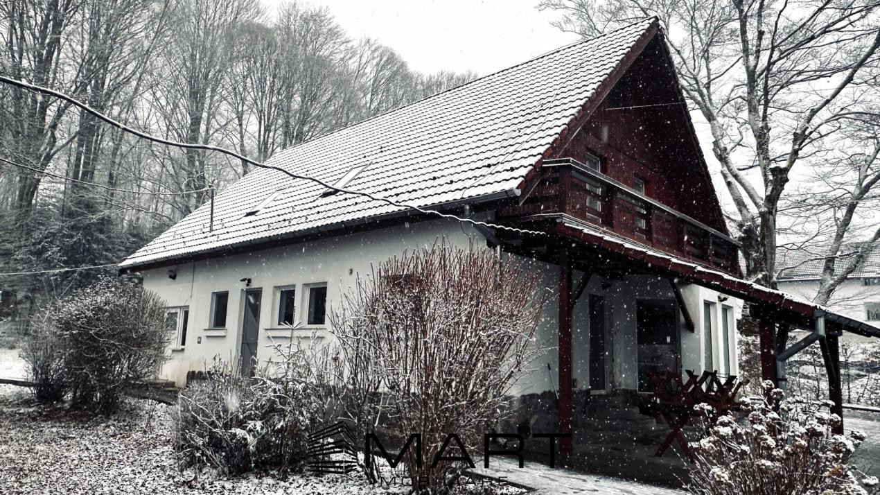 Casa de vacanta cu teren 2000mp Valea Avrigului