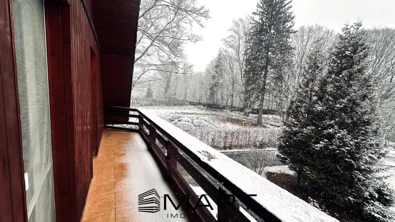 Casa de vacanta cu teren 2000mp Valea Avrigului