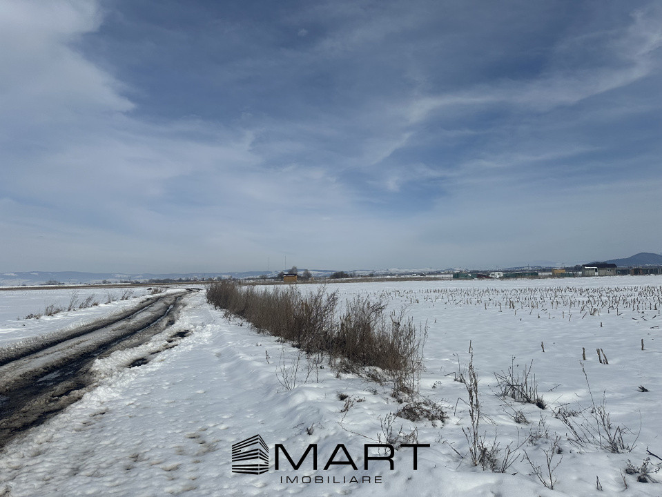 Teren Intravilan 425 mp Stupini