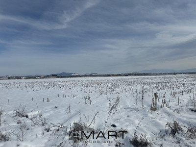 Teren Intravilan 425 mp Stupini