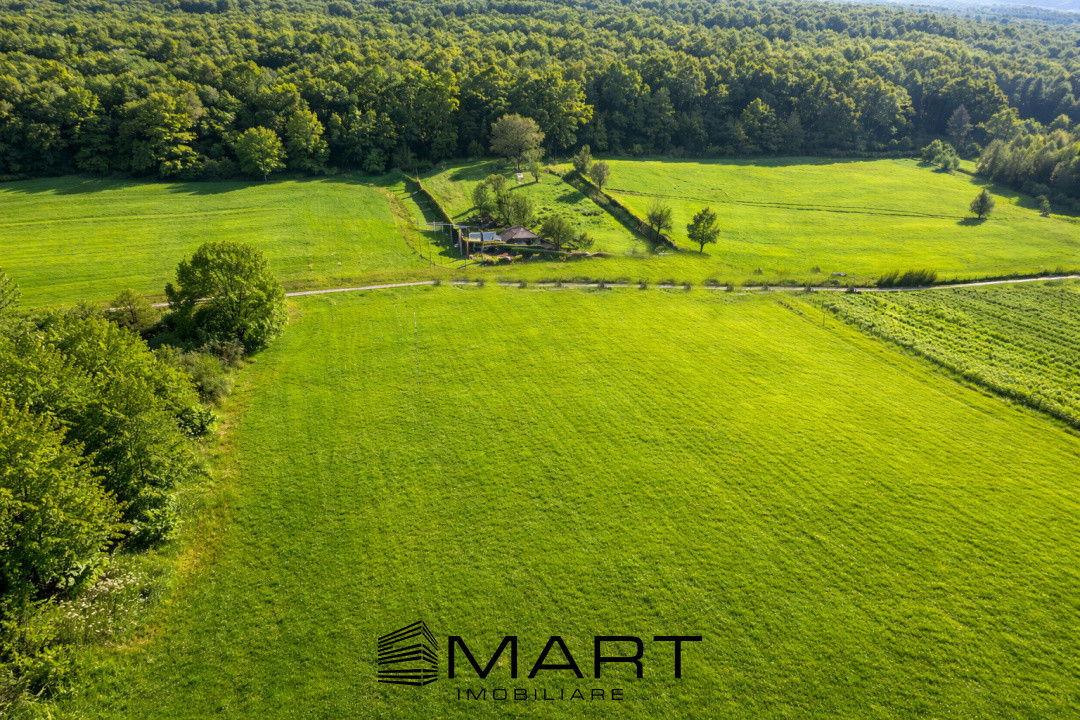 Teren extravilan de la 500mp in Tocile de Jos