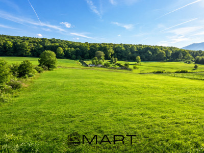 Teren extravilan de la 500mp in Tocile de Jos