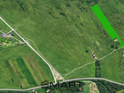 Teren extravilan Valea Avrigului 8000mp zona Panoramic Park