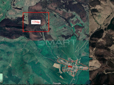 Padure 17ha, Mag-Saliste