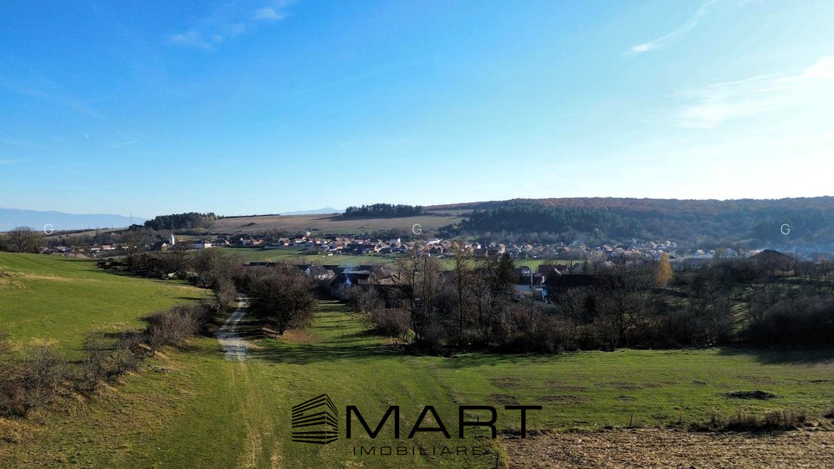 Teren extravilan 650mp Rusciori