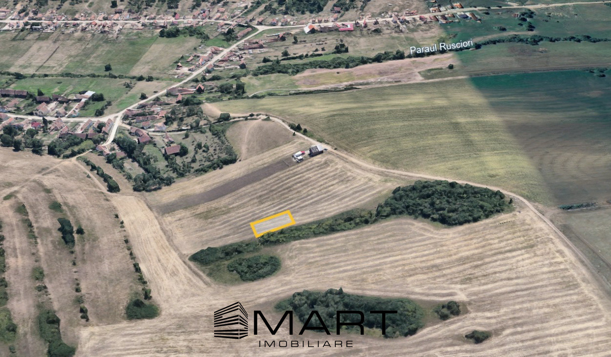 Teren extravilan 650mp Rusciori