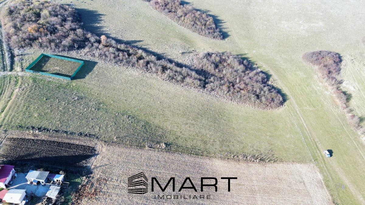 Teren extravilan 650mp Rusciori