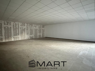 Spatiu Comercial/Hală  210 mp , Calea Dumbravii
